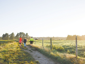 Beef + Lamb NZ has launched a new scholarship for farmers.