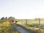 Beef + Lamb NZ has launched a new scholarship for farmers.