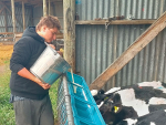 Levi McNae, 18, is now a full-time farm assistant on a 900-cow Ngai Tahu dairy farm.