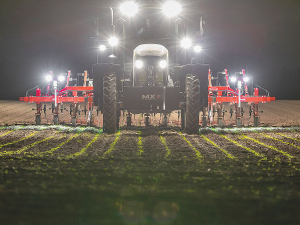 Modern camera systems make mechanical weed control using Steketee hoeing machines precise and efficient.