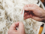 Merino New Zealand’s plan to market wool internationally on the promise that it is grown “regeneratively”, has been described as a ‘marketing exercise’.