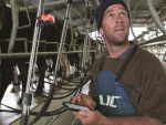 A new app for farmers has been launched by LIC Automation to help those with CellSense in-line sensors to more easily manage mastitis in their herd.