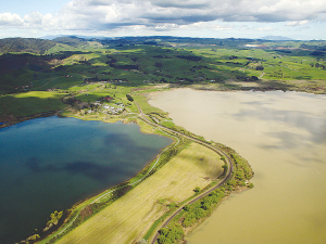 Urgent action needed to restore Waikato lakes' health