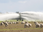 Irrigation scheme support falters
