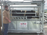 Combi Clamp stock handling systems can be tailored to suit a variety of farming operations.