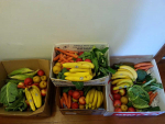 Door-to-door, local fruit and vegetable box deliveries can go ahead under Alert Level 4 restrictions.