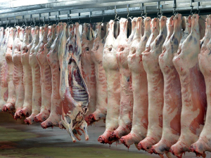 New Zealand exported $2.58 billion worth of red meat products in the first quarter of the year.