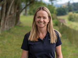 Time for a viable dairy-beef system - RaboResearch