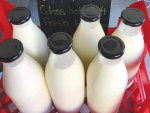 Unregistered raw milk operators fined