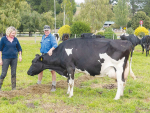  Andrea and Stuart Weir with their raw milk herd on their Glenwillow Farm on the outskirts of the Timaru.