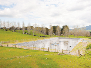 A crust-free effluent pond allows hasslefree irrigation of nutrients to paddocks.