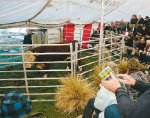 Confidence on the wane – reports