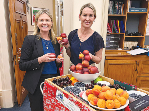 Horticulture Minister Nicola Grigg (right) and Tukituki MP Catherine Wedd spreading Christmas cheer around Parliament on behalf of fruit growers last Christmas. Photo: Facebook