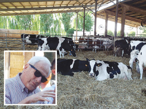 Each cow on this Italian farm produce 790kg/ms every season. Inset: Dario Soresina.