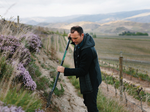 Photo left, viticulturist Kurt Robinson at Akarua.