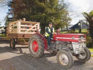 A volunteer driving visitors around with a vintage Massey Ferguson tractor.