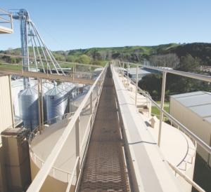 New feed mill churns out 12-15 tonnes per hour