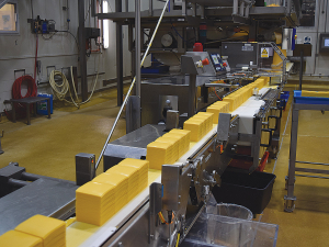 Fonterra upgrades Eltham cheese production for global growth