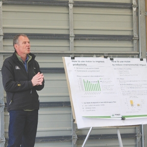 ‘Cows on maize produce less N’