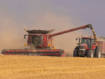 NZ Arable Farmers Warn of Mass Exodus From Sector