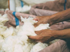 Wool training reaches Chatham Islands