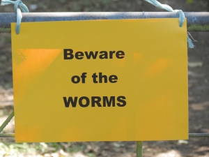 Worms – not farmers – off the hook