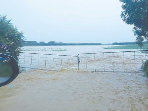 Recent flooding in the Pukekohe area has added to pressures to get early onion export shipments away on time.
