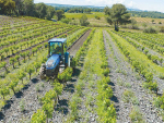 The new T4F S series is described as the ideal tractor for working in orchards and vineyards.