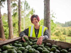 Linda Flegg has been announced as the new chair of the New Zealand Avocado Growers Association.
