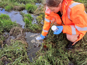 Waihi Dairy Farmer Fined $39,000 for Dairy Effluent Breaches