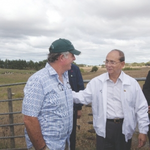 Burmese day on South Auckland farm