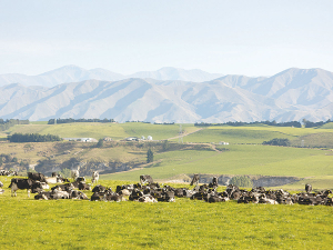 The award-winning Gleniffer farming enterprise in the Waitaki Valley is on the market.