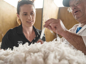 Central Otago merino farms are among the many already signed up for the New Zealand Merino Company&#039;s new ZQRX programme. Photo: New Zealand Merino.