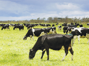 Updates to animal evaluation being made this month are designed to give farmers more confidence in the data and better reflect their individual herd.