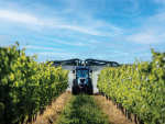 Biosecurity Update: Mothballed Vineyards in NZ
