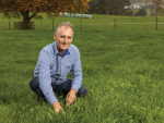A broad approach to environment
