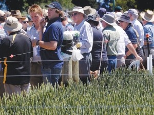 Farmers catch up while exploring FAR’s trial farm at Chertsey, Mid Canterbury, earlier this month.
