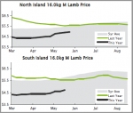 LAMB | North Island lamb prices to crack $5/kg