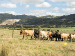 Methionine: More Than Milk Protein