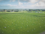 Native trees, Kapuka and Kanuka, have been planted in 12m or 16m spacings to test two different densities and learn about silvopasture, the practice of integrating trees with grazing animals.