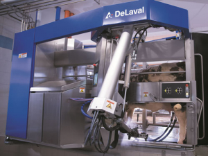 DeLaval’s V300 robotic milker.