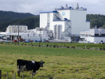 NZ dairy processors want Canada to respect rules