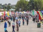 A record number of exhbitors are booked for this year’s field days.