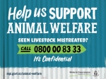 People who become aware of potential livestock abuse can call MPI confidentially on 0800 00 83 33.