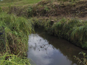 Farmers are anxious to know how the principle of Te Mana o te Wai will be applied under the new freshwater regulations.