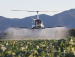 Way to Go Heliservices pilot Matt Cruickshank in action at Scott Ricketts farm.