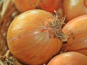 The first Onion Industry Postgraduate Scholarships have been awarded.