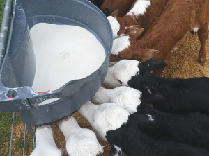 Raw milk treatment keeps pH correct