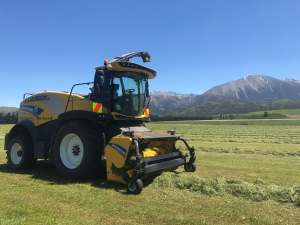 Canterbury-based rural contractor Steve Murray reckons his newest New Holland, self-propelled, forage havester – a FR650 – is in a league of its own.