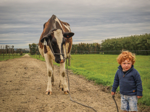 South Otago farmer balances family, farming and drought challenges